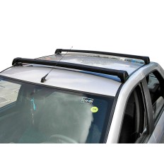 Rack de Alumínio C4 Picasso Preto*