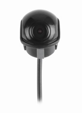Camera de Ré Tartaruga*